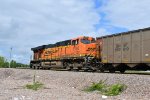 BNSF 6196 Roster shot